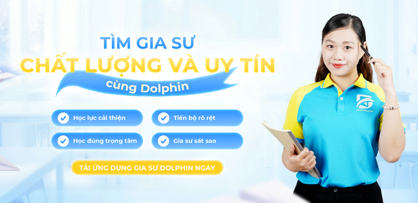 Về Dolphin