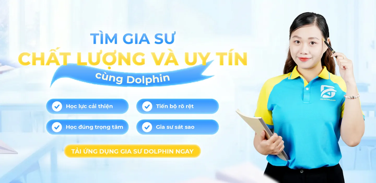 Về Dolphin